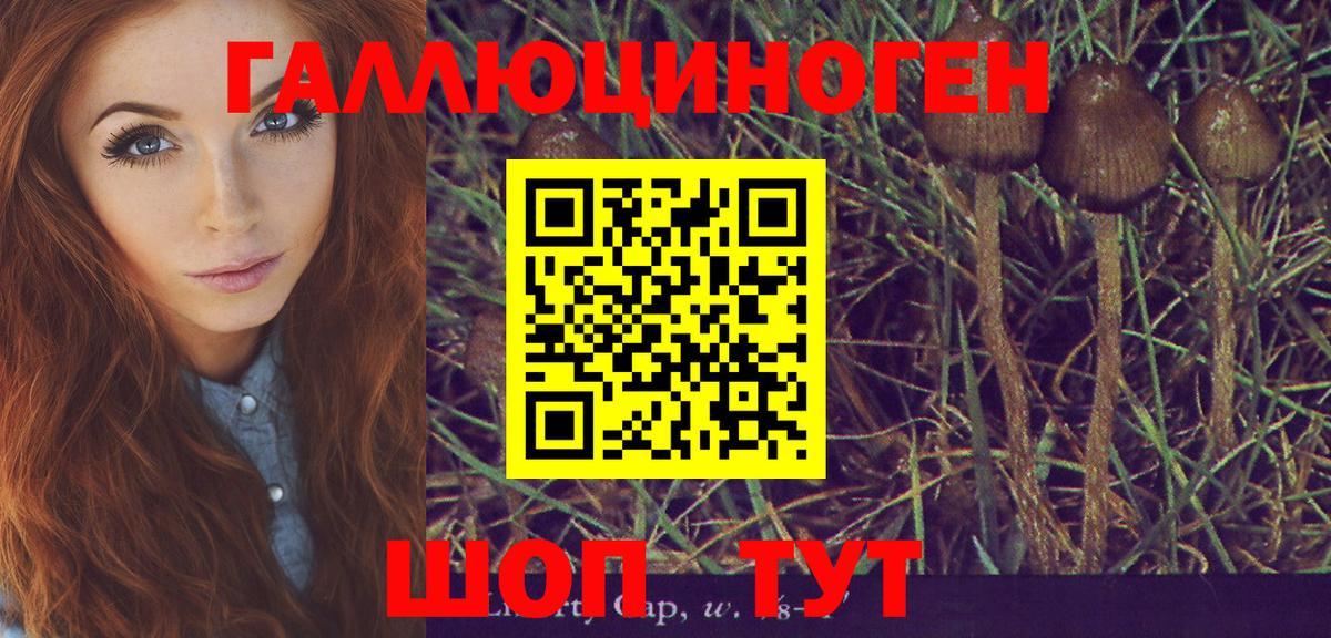 закладка  Псилоцибиновые грибы MAGIC MUSHROOMS  Вход с VPN  Гусев 