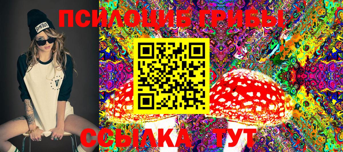 Псилоцибиновые грибы прущие грибы Гусев